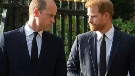 Should Prince William meet with Harry during his UK visit? Vote in our poll
