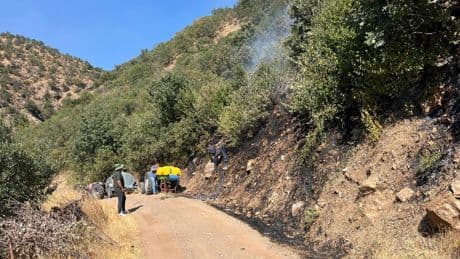 Aydın Kuyucak’ta makilik alanda yangın