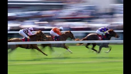 Pick a winner with your Express this Royal Ascot