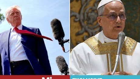 Pope Leo overcame damning Donald Trump remark to become first American pontiff