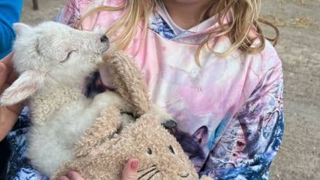 76 people ‘horrendously ill’ and 16 in hospital with parasite infection after ‘petting session’ at kids’ farm