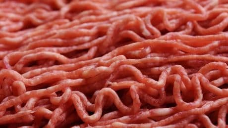 "Un soulagement": réouverture d'une boucherie dans l'Aisne, après les intoxications sévères à E.coli