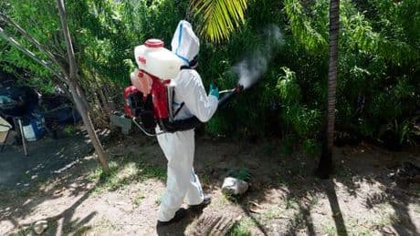 L’épidémie de chikungunya ébranle La Réunion : « Il s’agit d’un mini-Covid à l’échelon local »