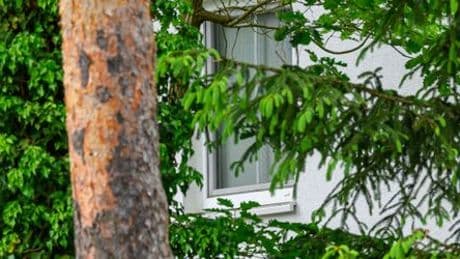Königs Wusterhausen: Polizeieinsatz wegen Terrorverdacht