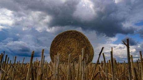 Wetteraussichten: Wechselhaftes Wetter in Berlin und Brandenburg erwartet
