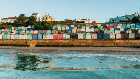 'Lovely' UK beach 'better than Bondi' when you can spot seals and find shark teeth
