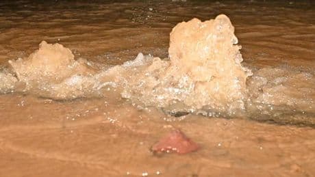 Havarie: Nach Wasserrohrbruch in Koblenz: 500 Haushalte ohne Gas
