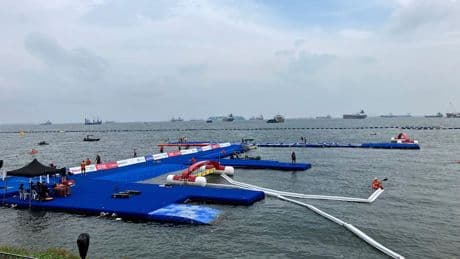 "Was uns zugemutet wird, ist einfach nicht okay“ - Schwimm-WM wird zum Fiasko