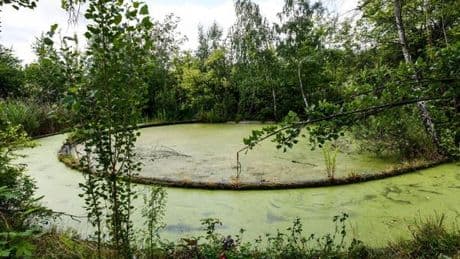 Spreepark im Wandel: Was der Lost Place diesen Sommer bietet