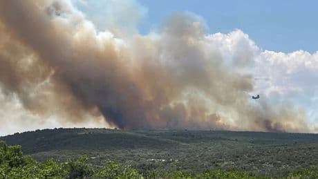 Waldbrände breiten sich aus - 500 Touristen fliehen vor Feuer am Grand Canyon
