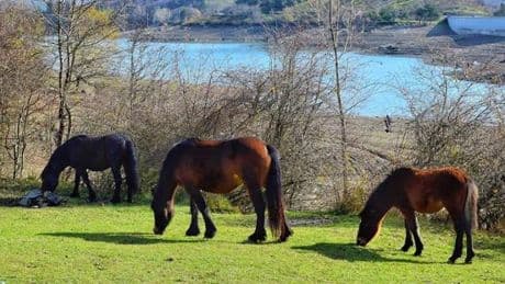 Lago di Giacopiane, scatta il ticket a 10 euro. Aree attrezzate per tende e pic-nic