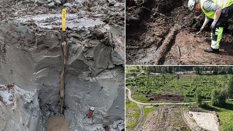 Time capsule of prehistoric treasures unearthed in a 5,000-year-old BOG - including perfectly preserved walking sticks