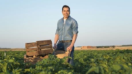 Cuidar la agricultura para hacer de la patata el cultivo más rentable