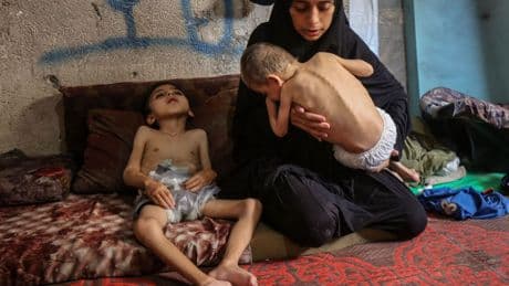 Die Lage im Überblick: Israels Armee wirft Hilfsgüter über Gaza ab