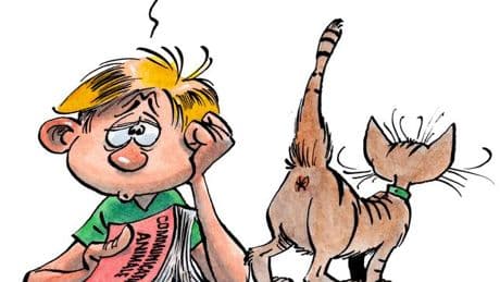La science des regards, des ouafs et des miaous