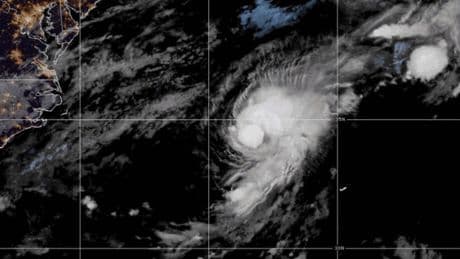 Tropical Storm Henriette forms in the Pacific as Storm Dexter moves on