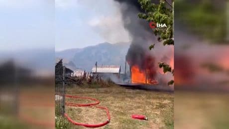 İspir'de ormanlık alanda yangın