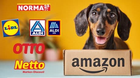 Angriff auf Amazon: Diese Discounter kontern zum Prime Day mit starken Deals
