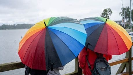 «Und täglich grüßt das Murmeltier» - weiter Wolken und Regen