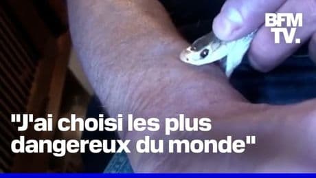 Le sang d’un homme mordu 200 fois par des serpents pourrait permettre la création d’un antivenin