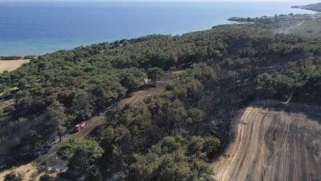 Çanakkale'de ormana giriş yasağı başlıyor