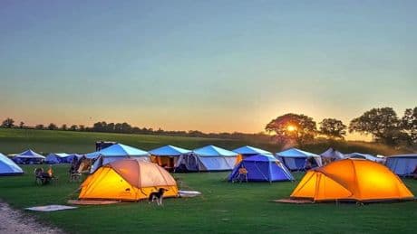 Stunning campsites in Britain from £10 a night – including a posh estate with a brewery next to woodland theme park