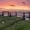 UK's muddy saltmarshes vital to tackle climate change, report finds