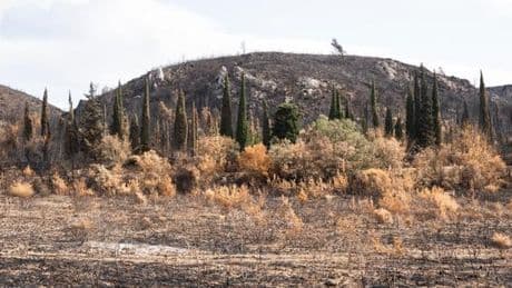 L’incendie dans l’Aude est désormais éteint, annonce la préfecture