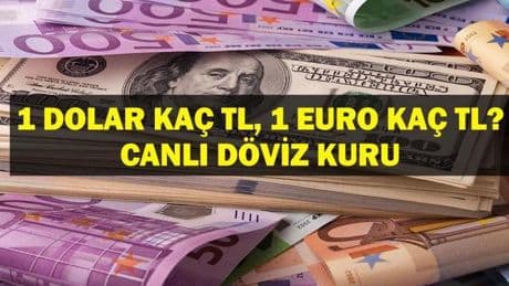 DOLAR KAÇ TL? EURO KAÇ TL? Temmuz Ayı Enflasyon Oranı Sonrası Dolar Euro Kaç TL? Canlı Döviz Kuru ile 5 Ağustos 1 Dolar 1 Euro Fiyatı...