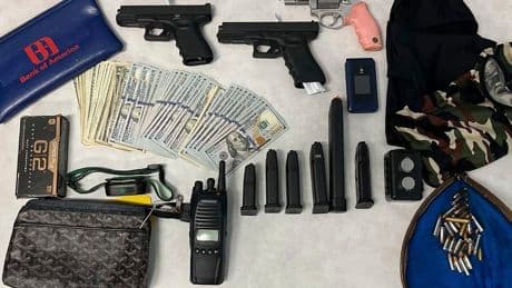 Police arrest LA burglary crew suspected in nearly 100 break-ins