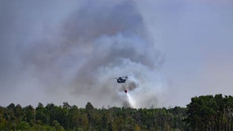 Waldbrand: Lage beim Waldbrand in der Gohrischheide bleibt weiter ernst
