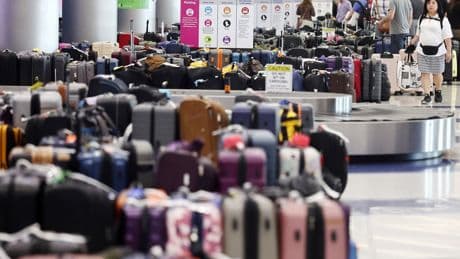 Airlines raked in over $7B in revenue thanks to check-in bag fees