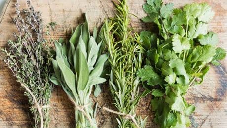 Herb we all have linked to Alzheimer's protection and better memory