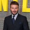 Gary Oldman, David Beckham en Roger Daltrey mogen zich voortaan 'sir' noemen