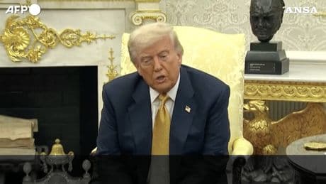 Trump sui documenti Epstein: «Una bufala dei Democratici»