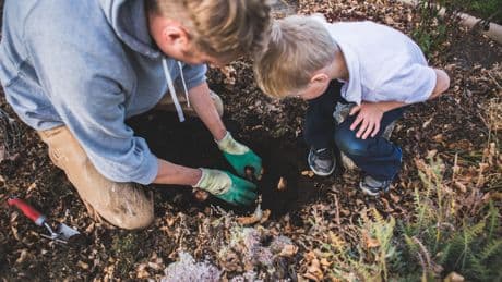 Viele haben sie im Garten: Diese 9 Pflanzen sind giftig für Ihre Kinder