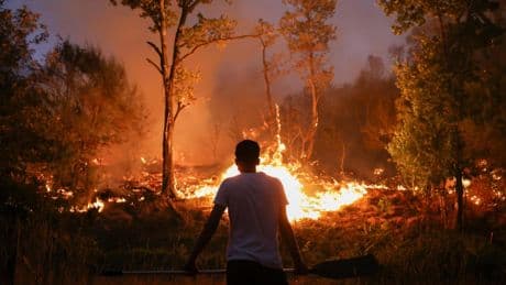 Por qué los megaincendios se ceban siempre en Zamora, León y Orense: "Calor extremo, viento errático y montes abandonados"