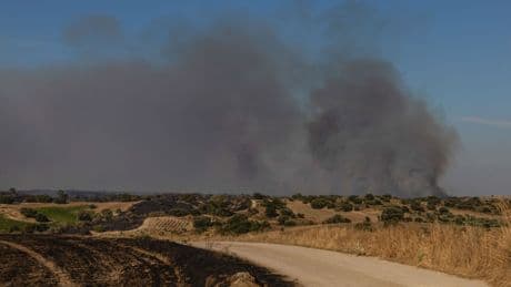 Más vale prevenir que apagar: incendios extremos por montes olvidados