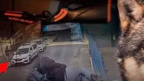 2 polisi şehit eden saldırgan 'Yalnız Kurt' mu? Dünyaya yayıldı: 'Tam da bu yaşlarda başlar'