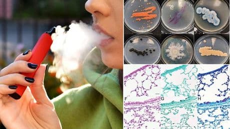 Urgent warning to vapers as scientists discover vape mouthpieces are SWARMING with fungi that harm airways
