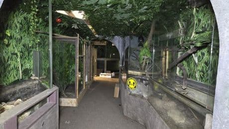 Abandoned UK zoo left eerily quiet with horrifying animal corpses left behind