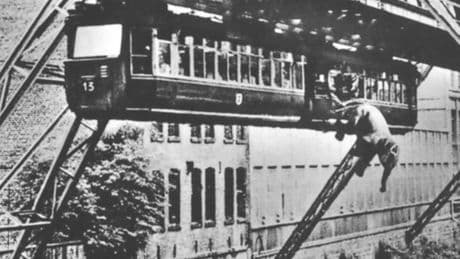 Wuppertal feiert 75 Jahre Tuffi: So entstand das Foto von Tuffis Wupper-Sprung