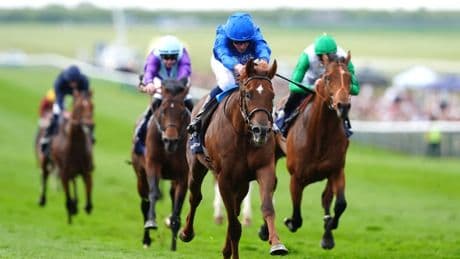 On a day of top class I action I’m tipping this 7-1 chance to run a huge race at Newmarket