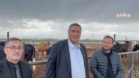 CHP’li Gürer: 'Fransa, bizim süt ineğimizin yarısına sahip ama bizim ürettiğimizden fazla süt üretiyor'