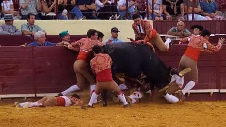 Es passierte nicht in Spanien - 695-Kilo-Tier tötet Stierkämpfer