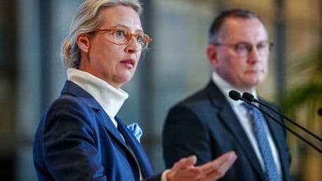 Klage gegen Verfassungsschutz: Die AfD versucht, vor Gericht Zeit zu gewinnen