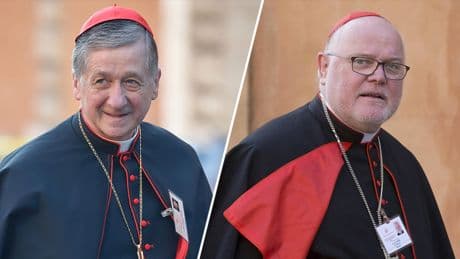 Ces deux cardinaux libéraux qui ont fait élire le pape Léon XIV sur une ligne anti-Trump