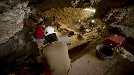 Canibalismo en el Neolítico: documentado un episodio extremo en la sierra de Atapuerca
