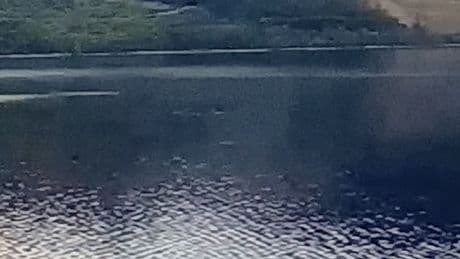 Loch Ness Monster video sighting as 'neck-like object' spotted on surface of water