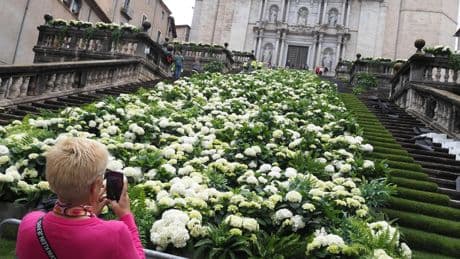 La exposición Temps de Flors de Girona amplía el horario y su radio de acción con 146 montajes